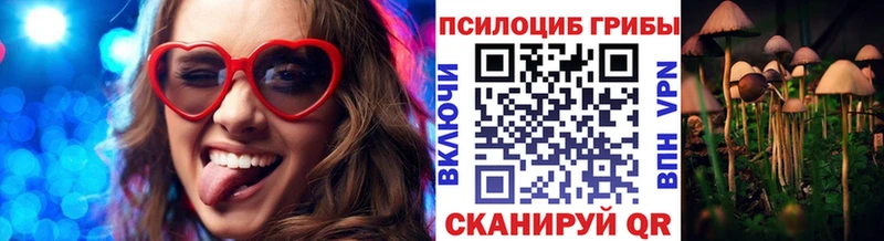 Псилоцибиновые грибы MAGIC MUSHROOMS продажа наркотиков Мичуринск